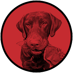 Website Image Logo for 